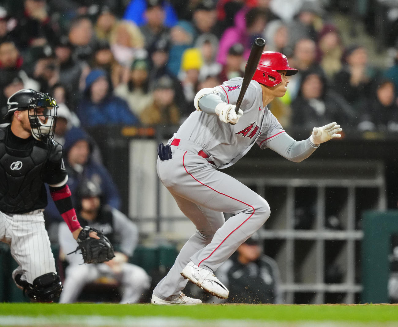 ホワイトソックス対エンゼルス　6回表エンゼルス1死一塁、遊ゴロに倒れる大谷（撮影・江口和貴）