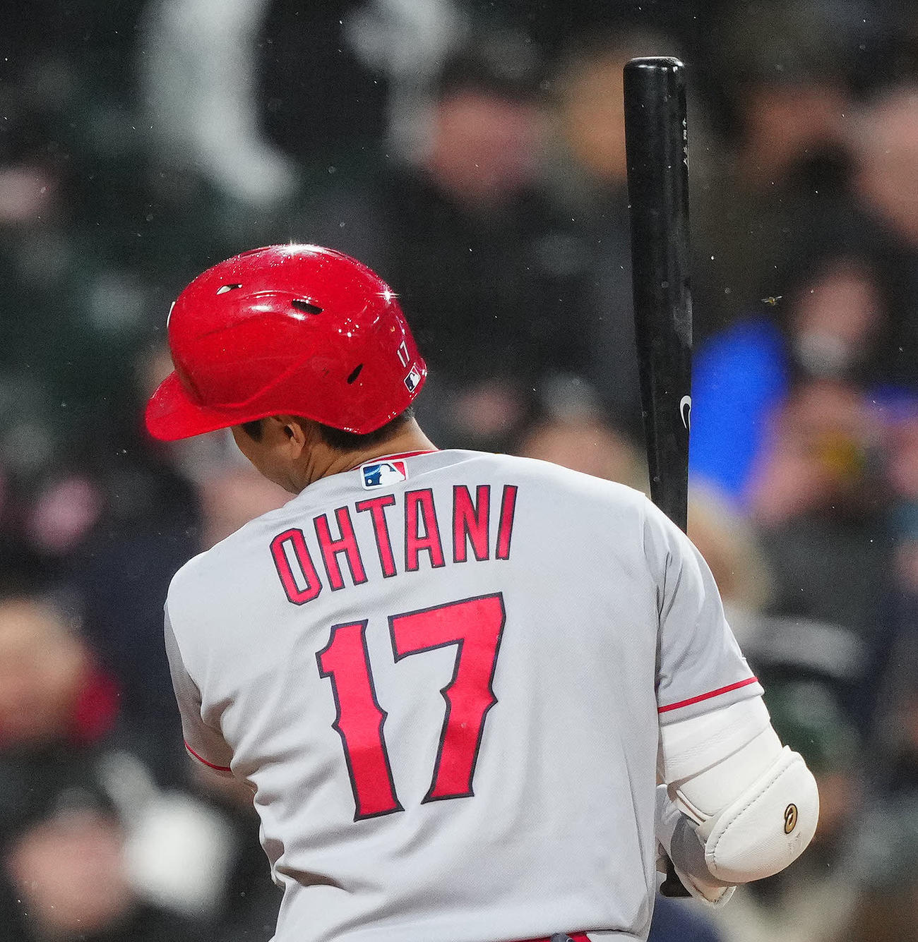 ホワイトソックス対エンゼルス　6回表エンゼルス1死一塁、顔の付近を飛ぶ虫を避ける大谷（撮影・江口和貴）