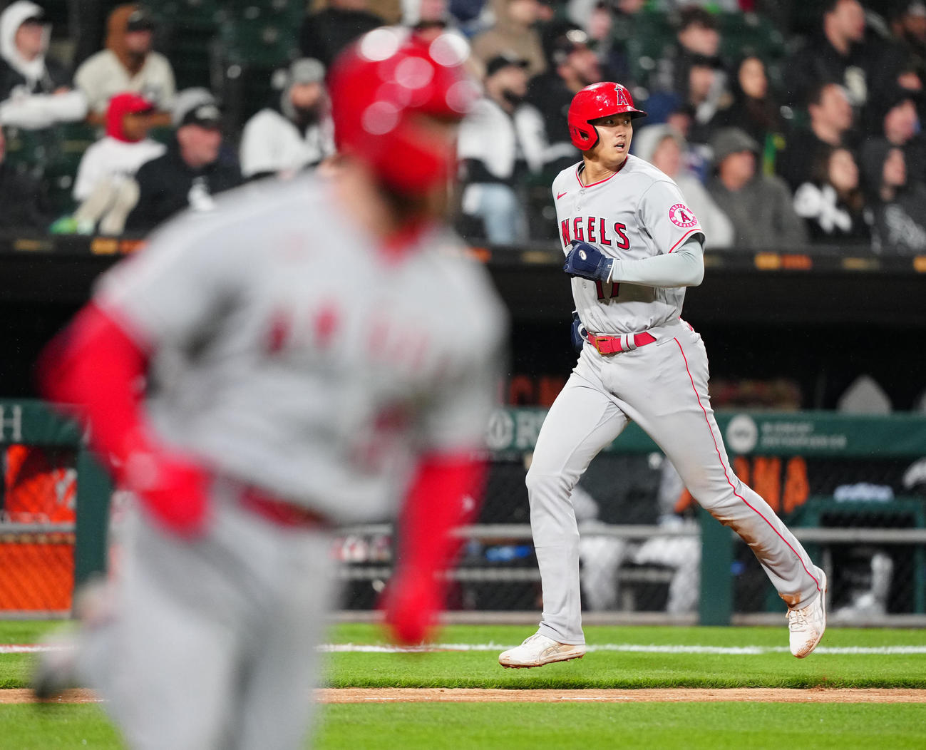 ホワイトソックス対エンゼルス　8回表エンゼルス2死三塁、ウォルシュ（手前）の適時二塁打で生還する大谷（撮影・江口和貴）