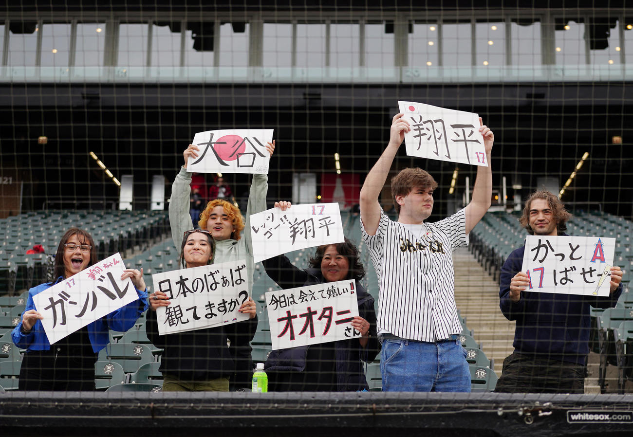 ホワイトソックス対エンゼルス　試合前、エンゼルス大谷を応援するファン（撮影・江口和貴）