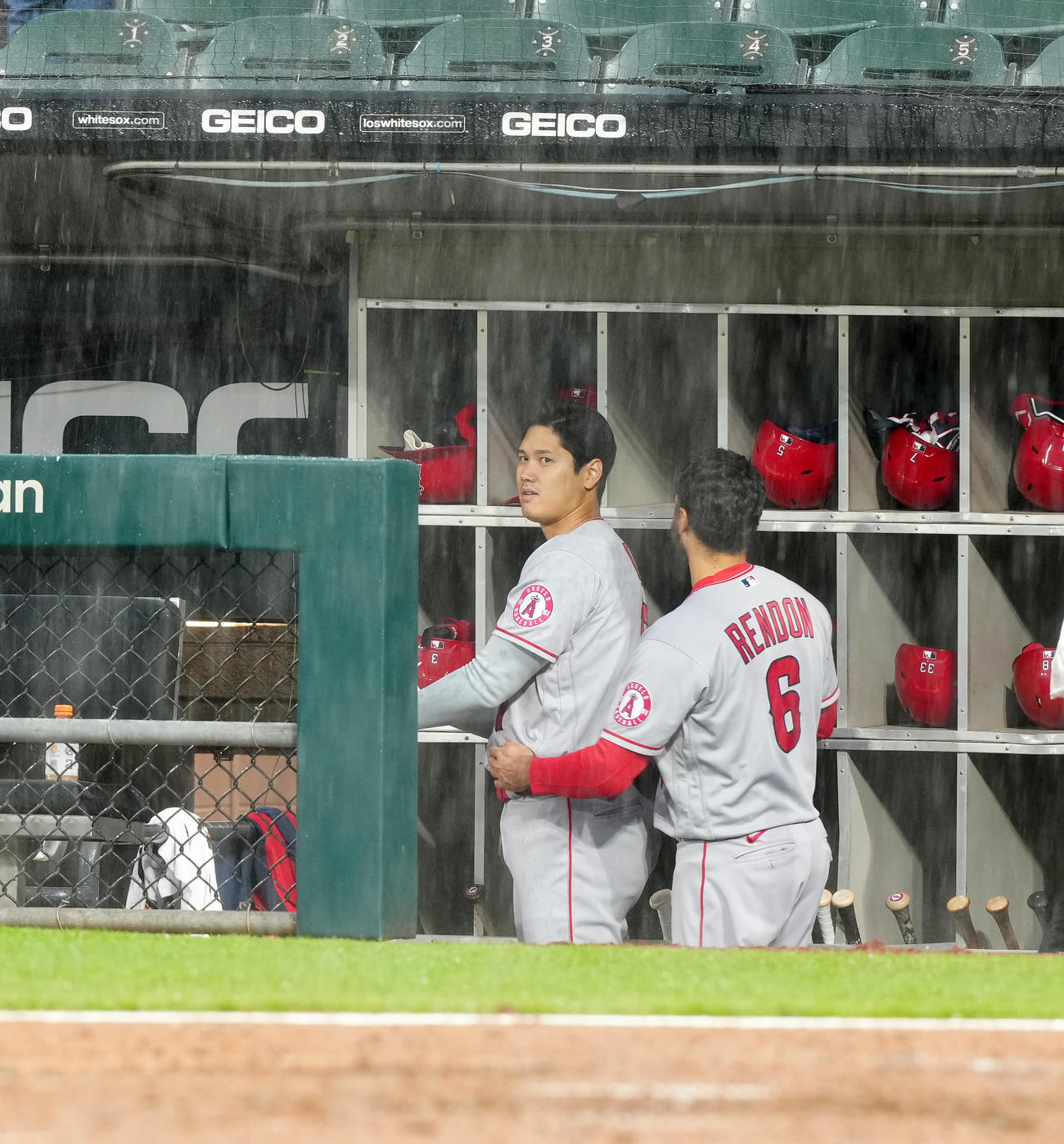 ホワイトソックス対エンゼルス　6回表、降雨中断でベンチに引き揚げたエンゼルス大谷（左）（撮影・江口和貴）