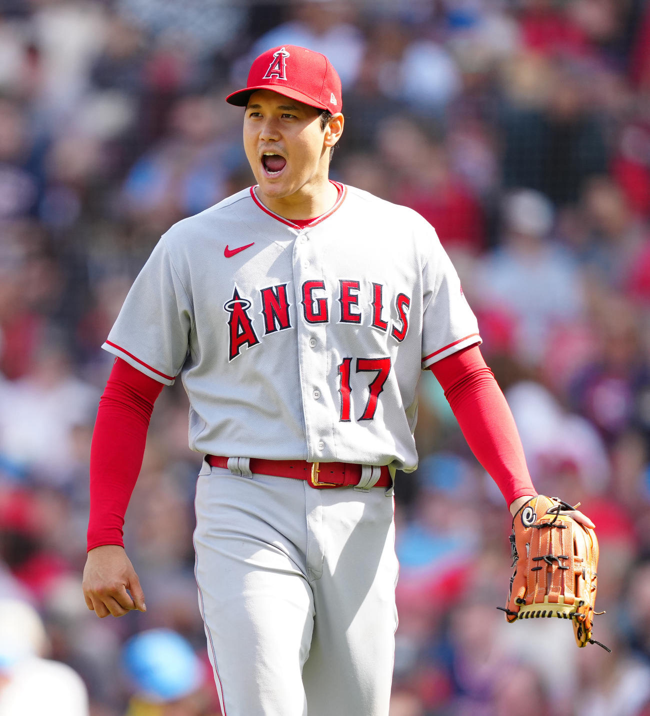 レッドソックス対エンゼルス　6回裏レッドソックス2死三塁、コルデロを遊直に仕留め、雄たけびを上げる大谷（撮影・江口和貴）