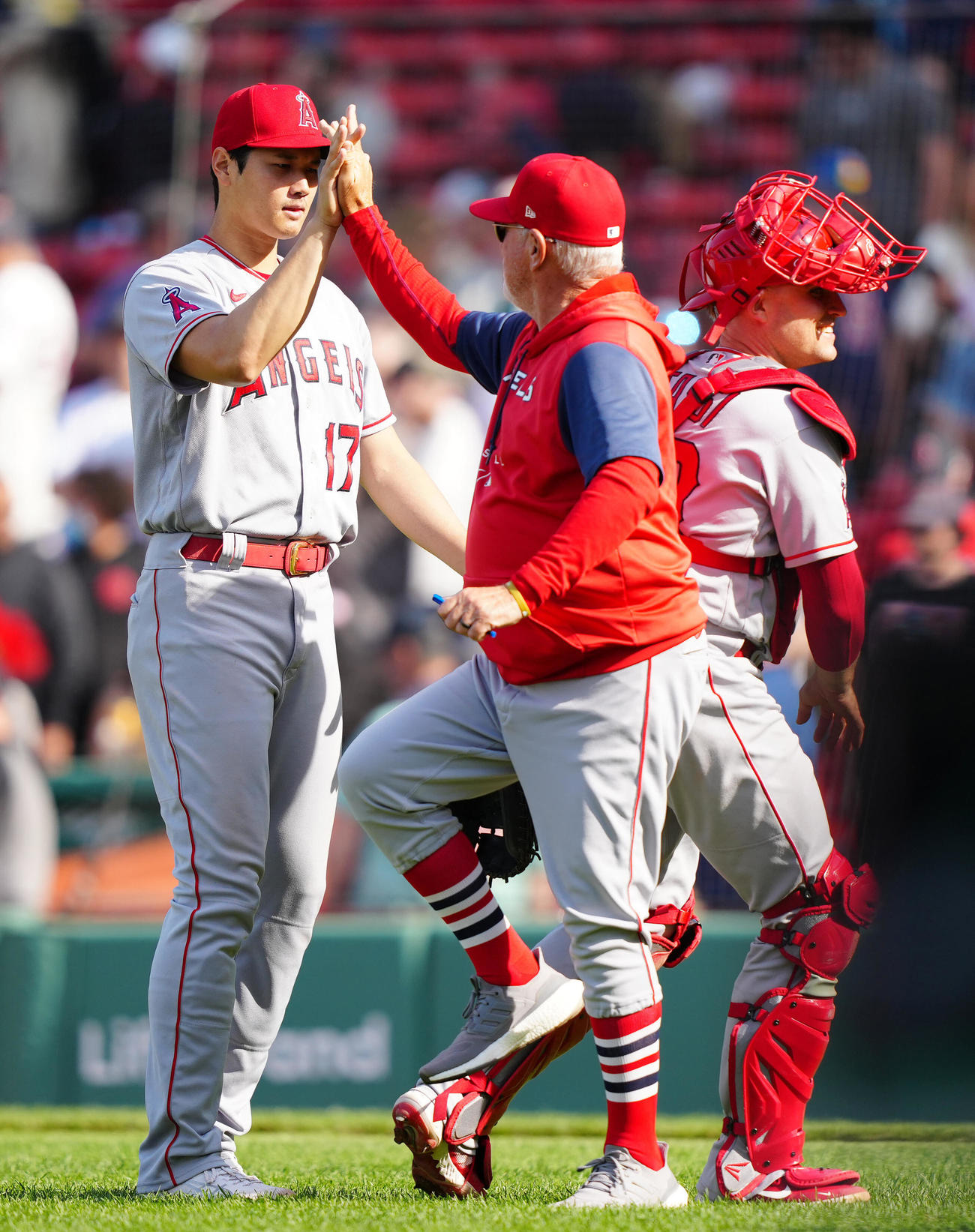 レッドソックス対エンゼルス　試合後、エンゼルス・マドン監督（中央）とタッチを交わす大谷（撮影・江口和貴）