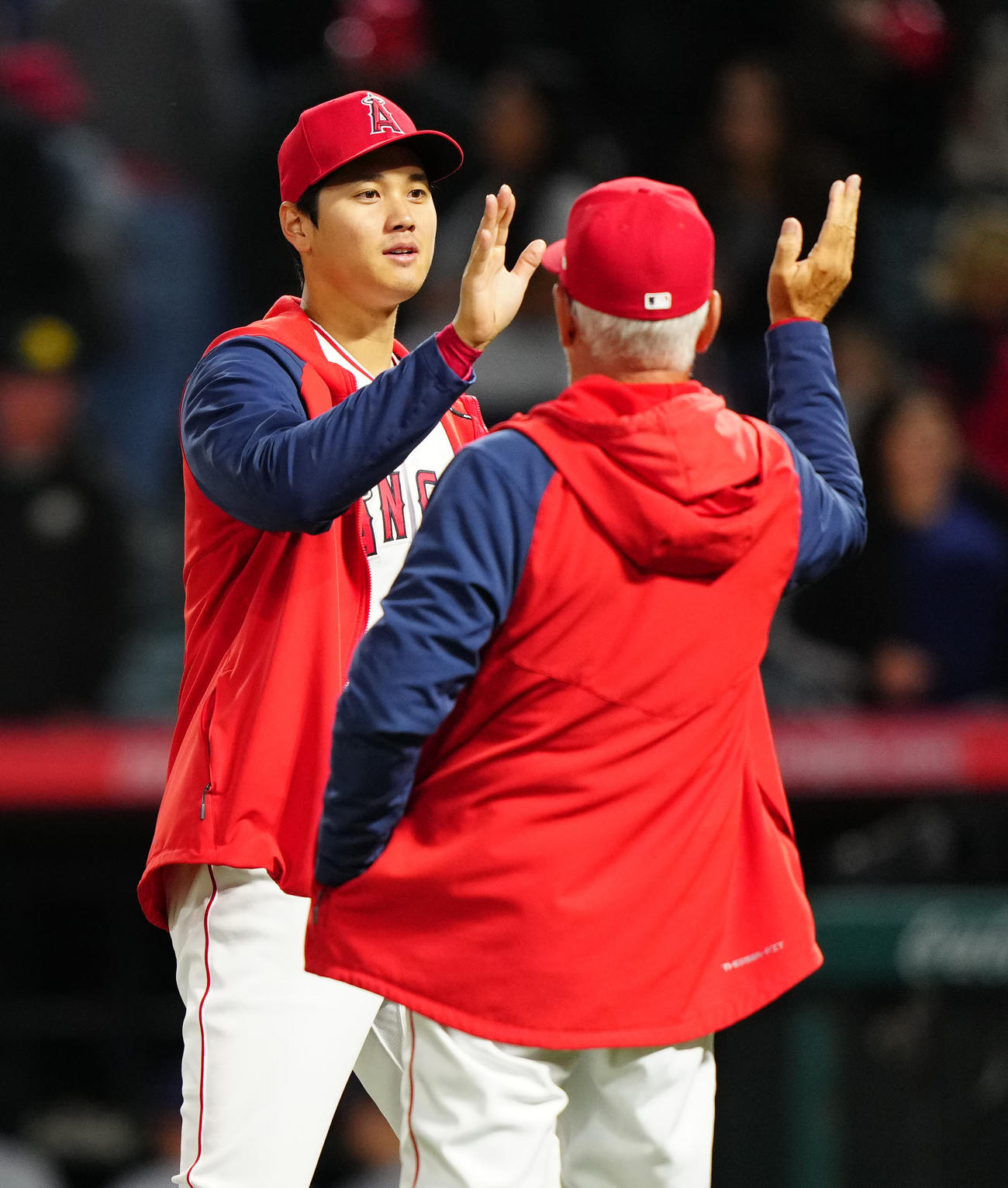 エンゼルス対レイズ　試合後、エンゼルス・マドン監督（右）とタッチを交わす大谷（撮影・江口和貴）