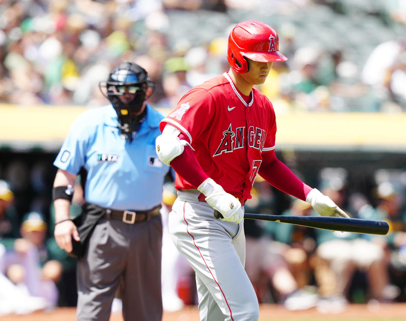 アスレチックス対エンゼルス　途中交代したフォスター球審。右は大谷（撮影・江口和貴）