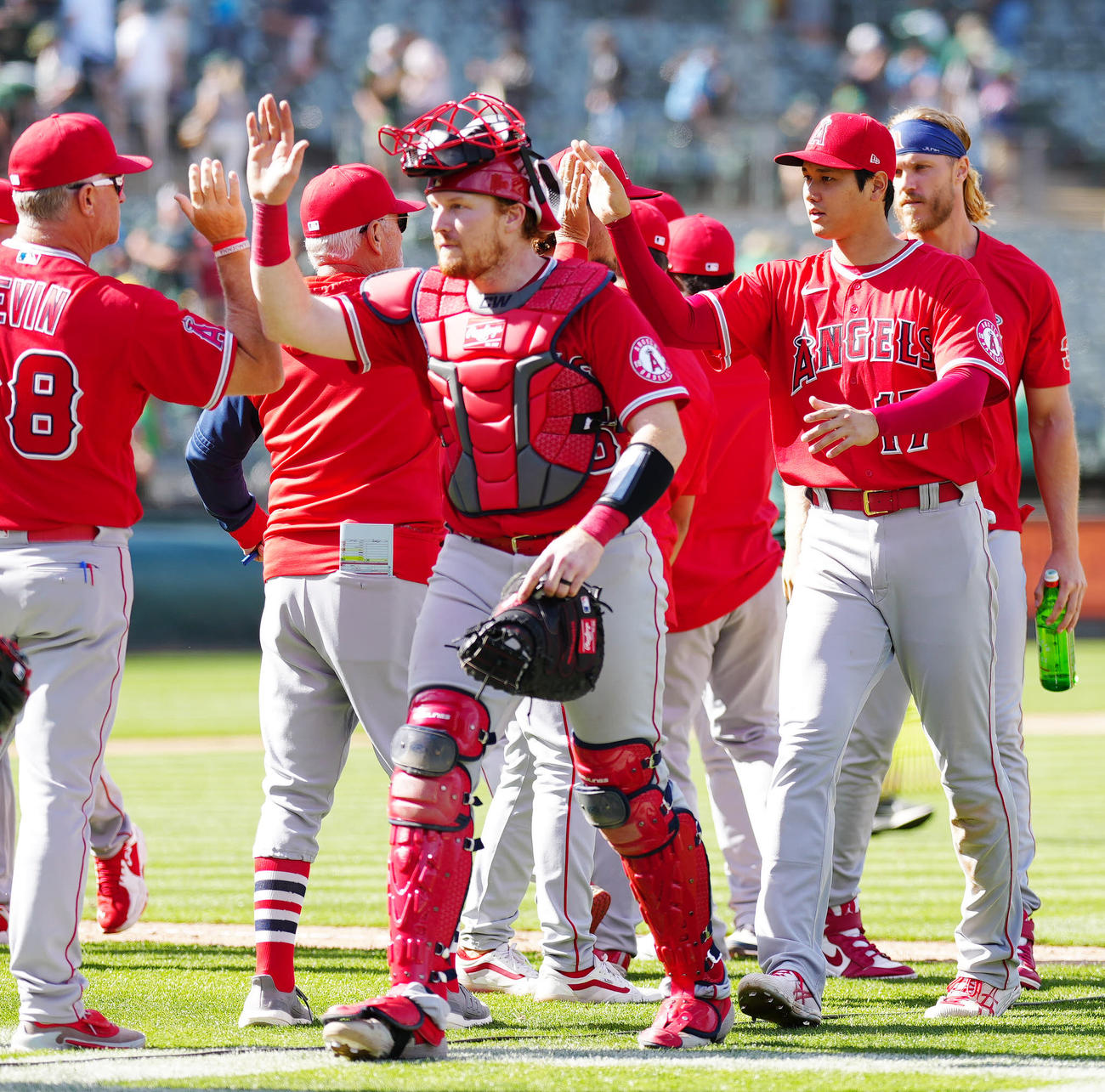 アスレチックス対エンゼルス　試合後、エンゼルス・マドン監督（左から2人目）とタッチを交わす大谷（撮影・江口和貴）