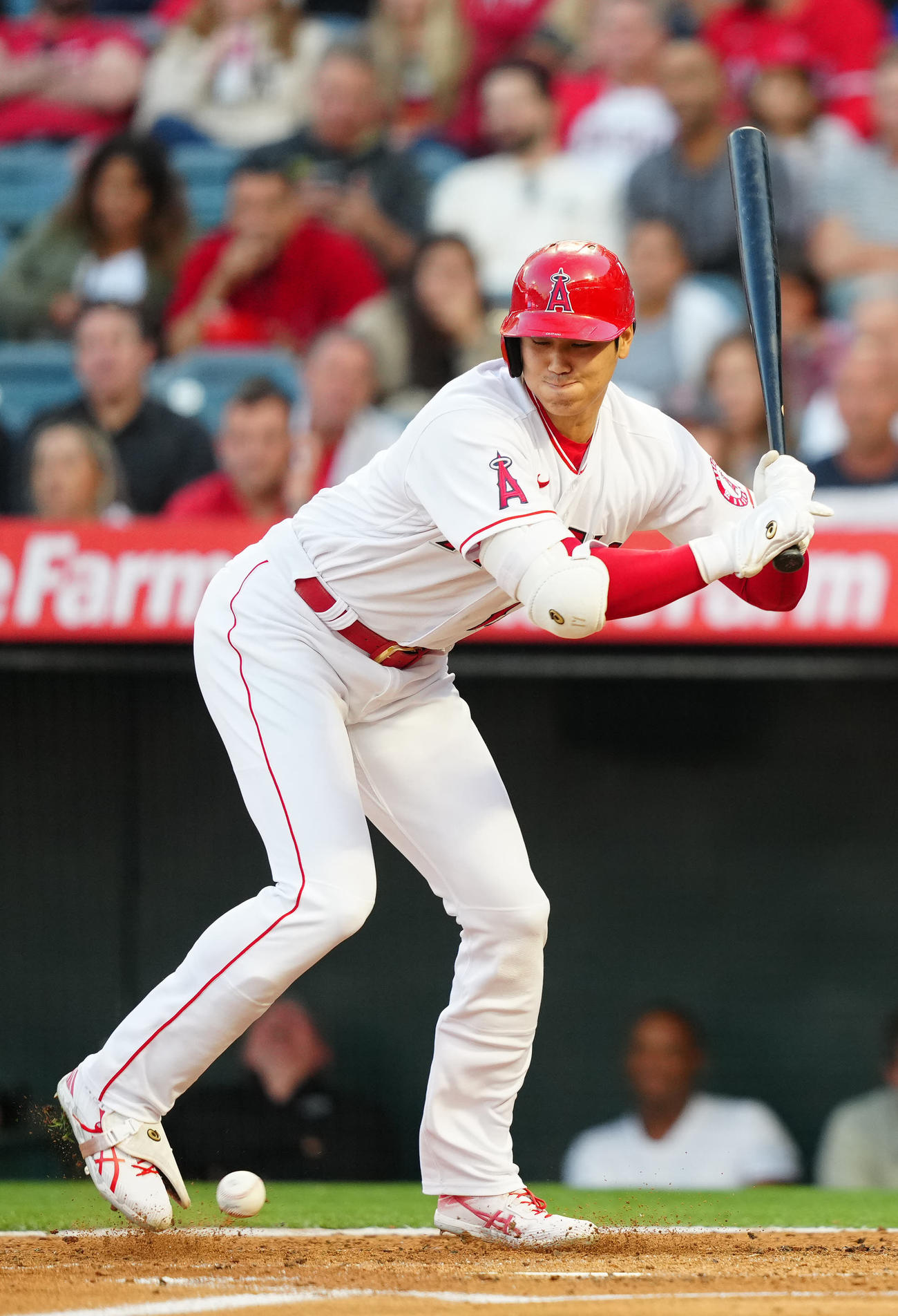 エンゼルス対レンジャーズ　3回裏エンゼルス2死、死球を受ける大谷（撮影・江口和貴）