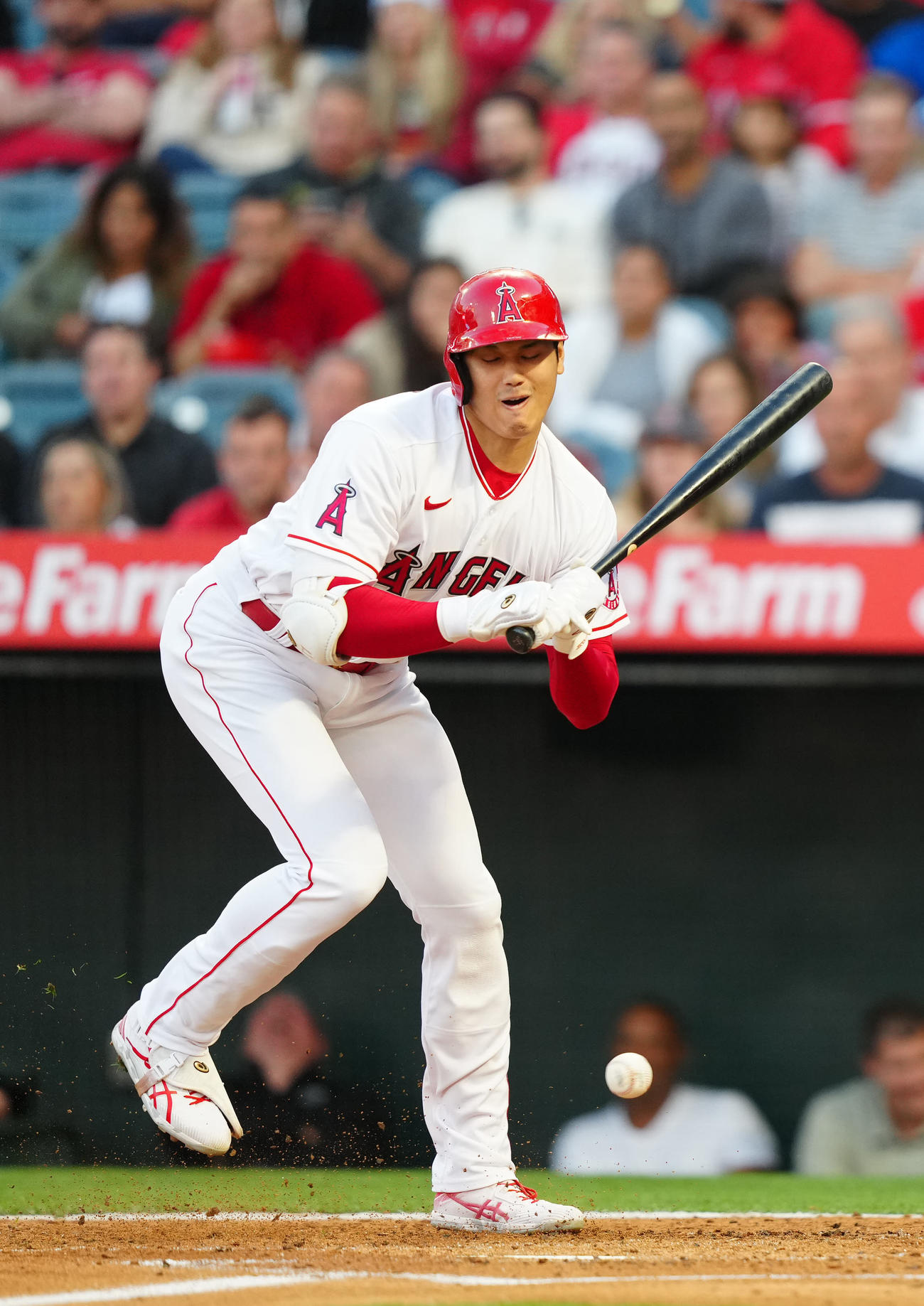 エンゼルス対レンジャーズ　3回裏エンゼルス2死、死球を受ける大谷（撮影・江口和貴）