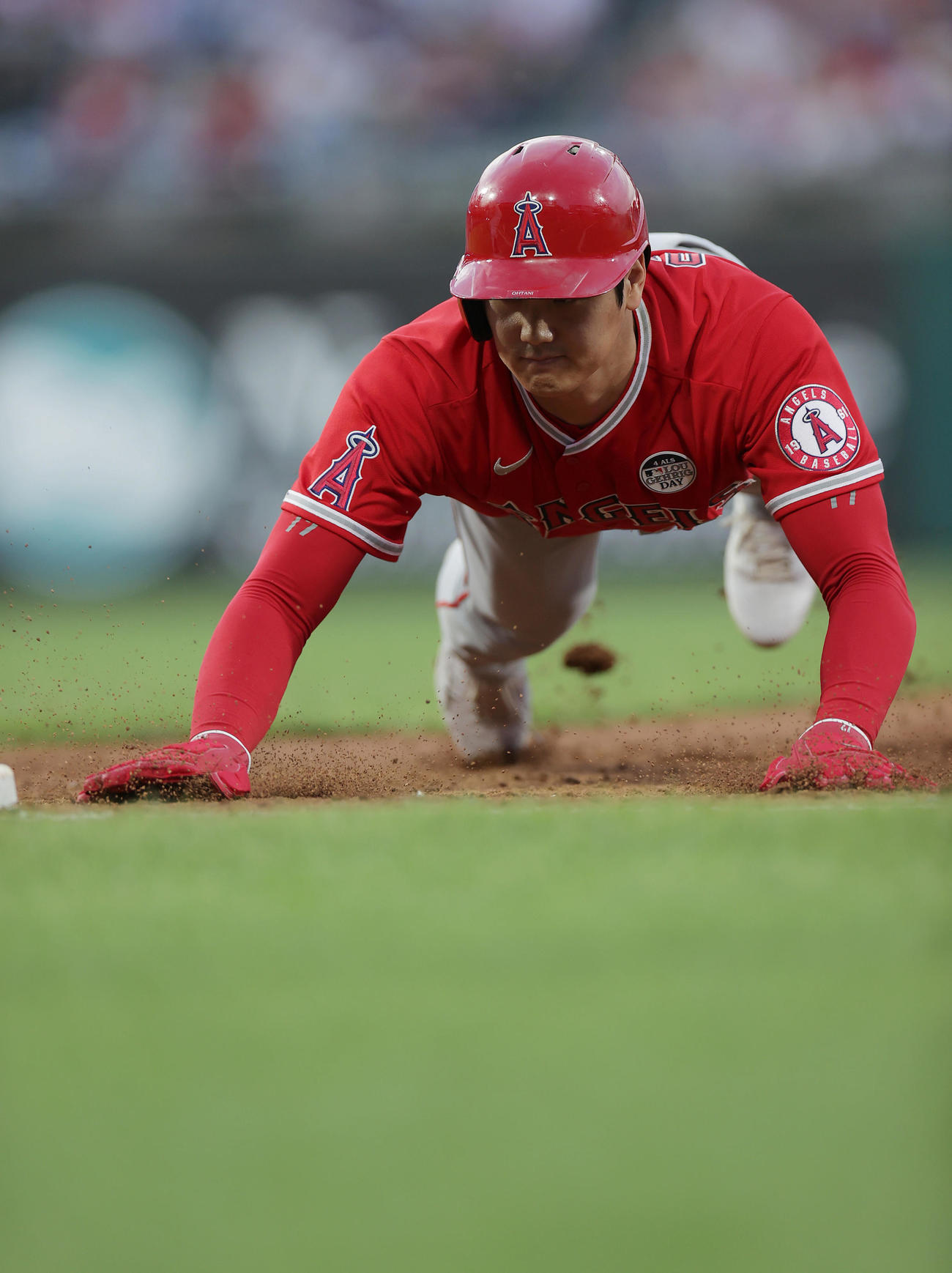 フィリーズ対エンゼルス　3回表エンゼルス2死、けん制に手から帰塁する大谷（撮影・前田充）