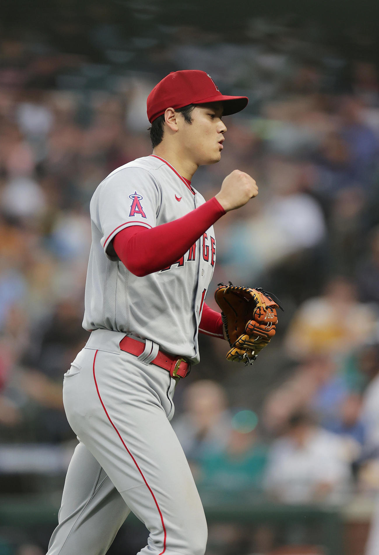 エンゼルス大谷翔平（2022年6月16日撮影）