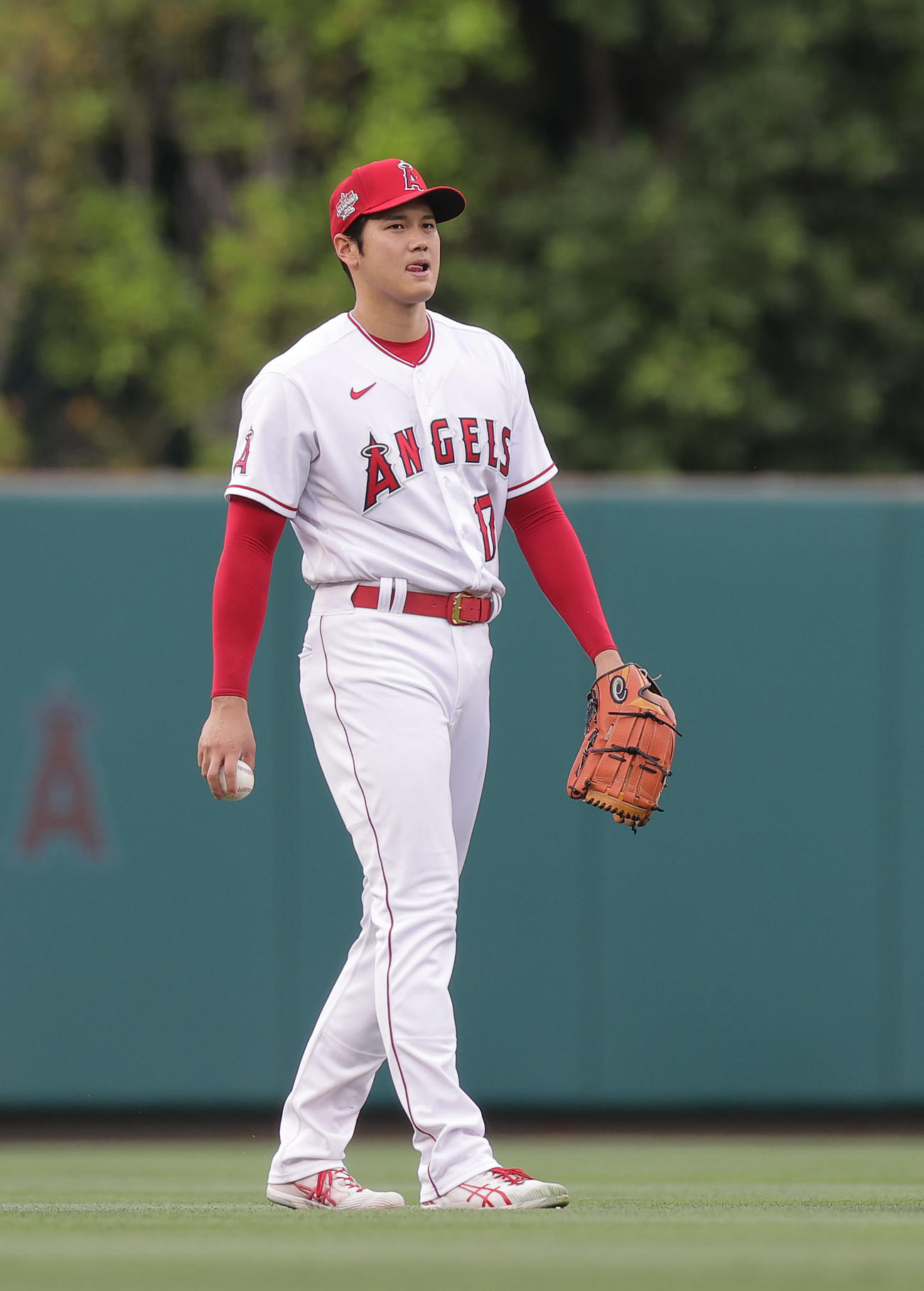 エンゼルス対ロイヤルズ　試合前、外野でウオーミングアップするエンゼルス大谷（撮影・前田充）