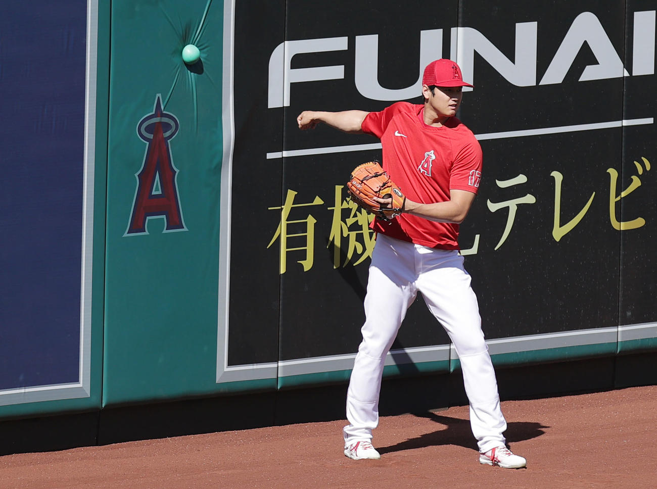 エンゼルス対マリナーズ　壁当てで調整するエンゼルス大谷（撮影・前田充）