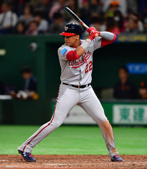 ナショナルズ ソト Mlb史上最高額の約594億円オファーを拒否 24年シーズン後にfa ｍｌｂ写真ニュース 日刊スポーツ