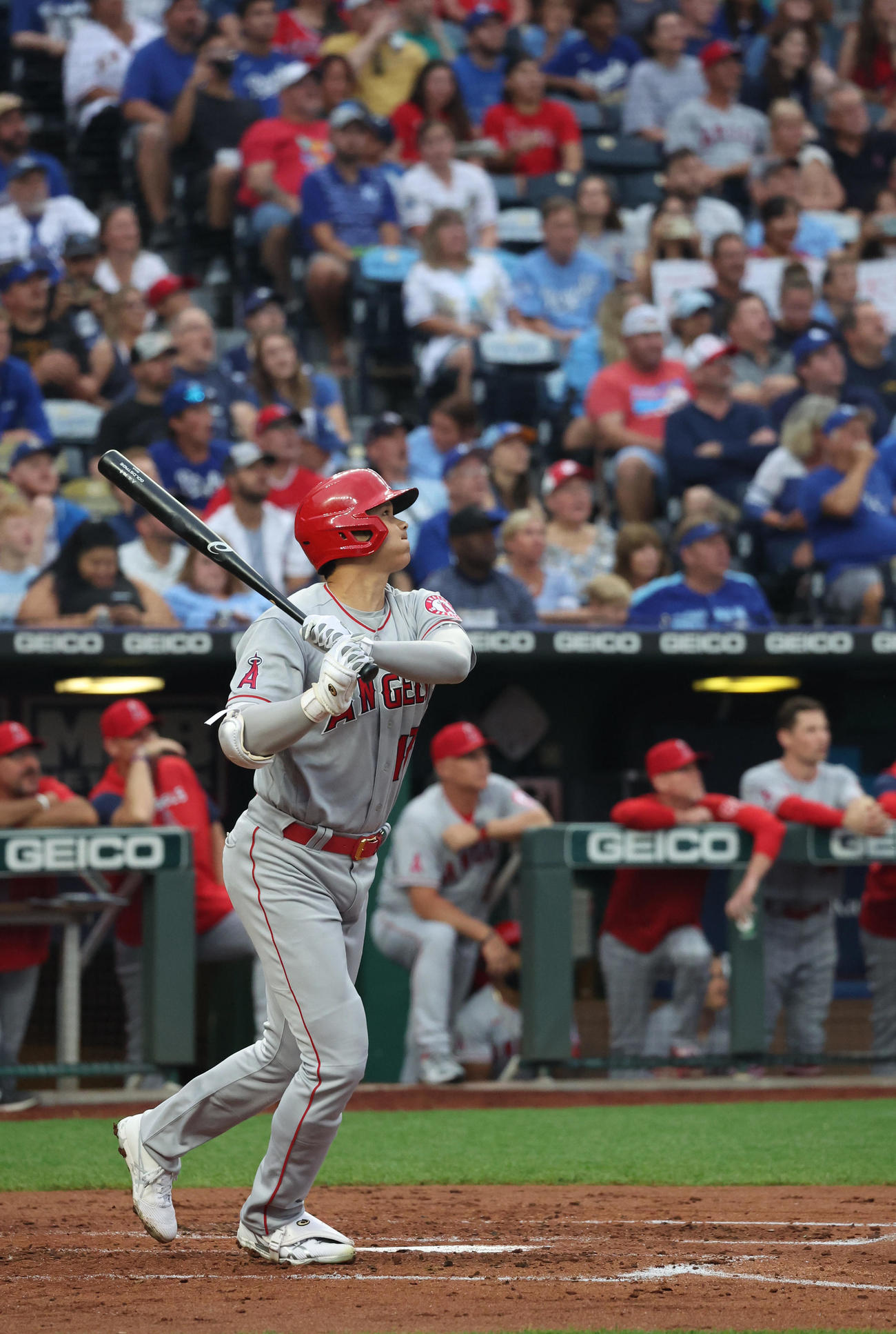 ロイヤルズ対エンゼルス　3回表エンゼルス1死、先制ソロ本塁打を放つ大谷（撮影・狩俣裕三）