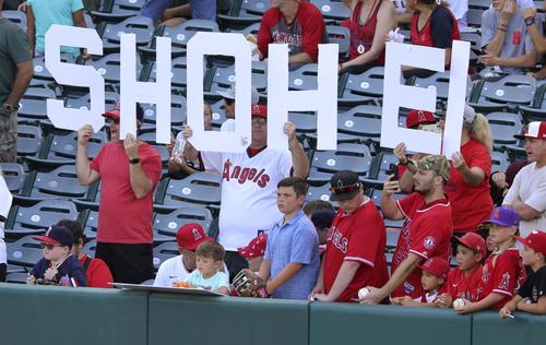 エンゼルス・大谷を応援する客席のファン＝アナハイム（共同）