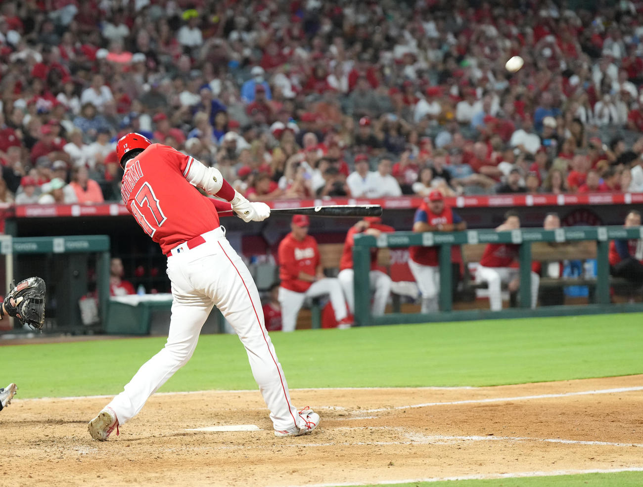 エンゼルス対ツインズ　8回裏エンゼルス2死、中越えに26号ソロ本塁打を放つ大谷（撮影・菅敏）