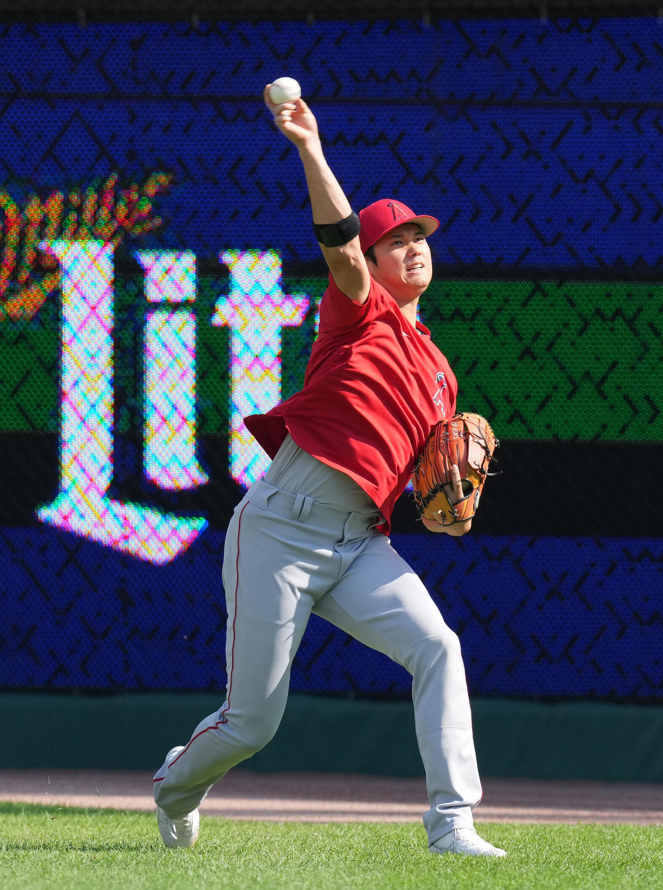 タイガース対エンゼルス　試合前、キャッチボールで調整するエンゼルス大谷（撮影・菅敏）