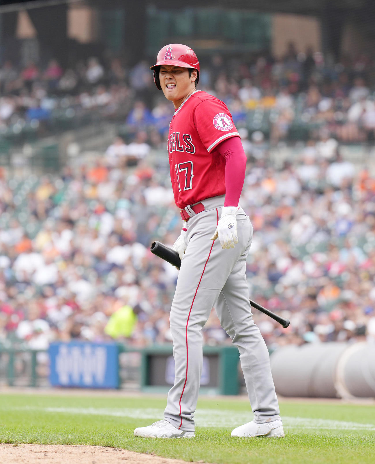 タイガース対エンゼルス　7回表エンゼルス1死、自打球を足に受ける大谷（撮影・菅敏）