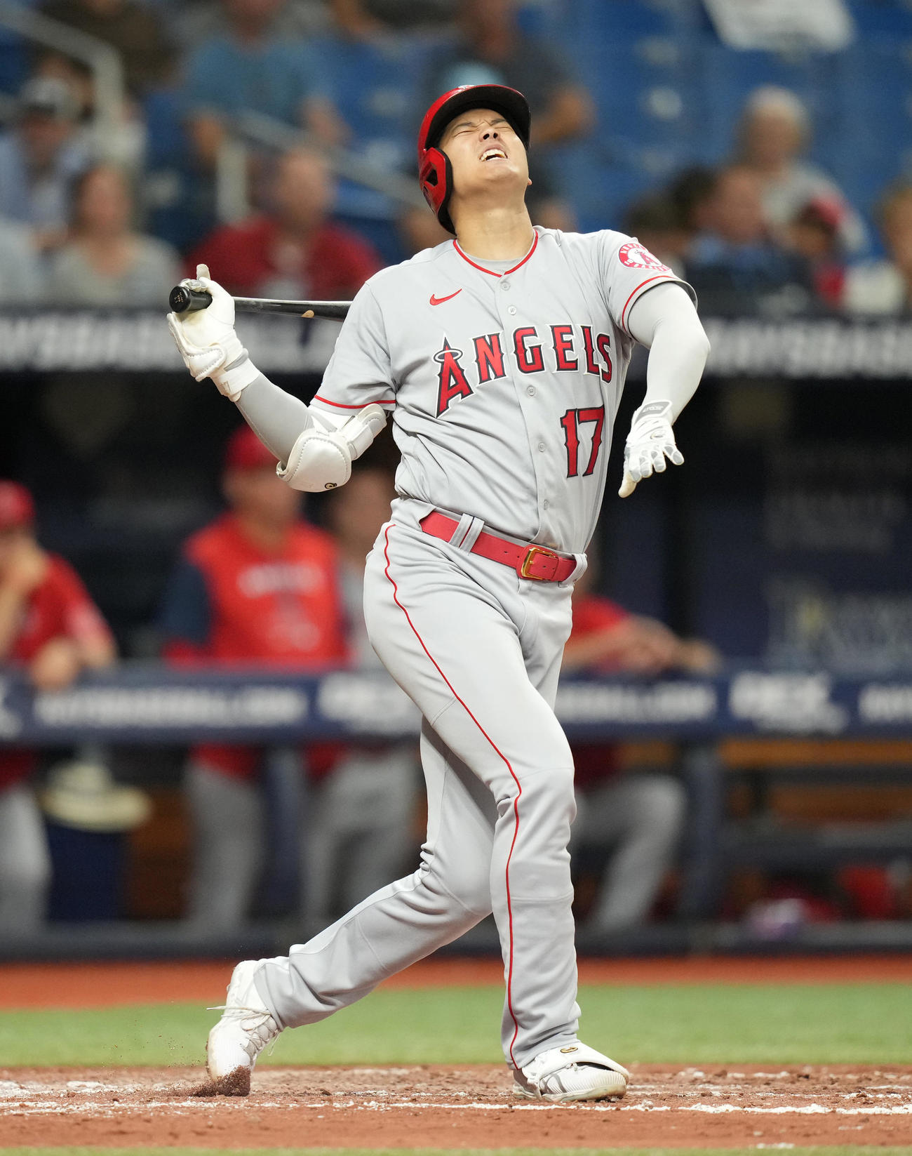 レイズ対エンゼルス　6回表エンゼルス1死、自打球を左足に受ける大谷（撮影・菅敏）