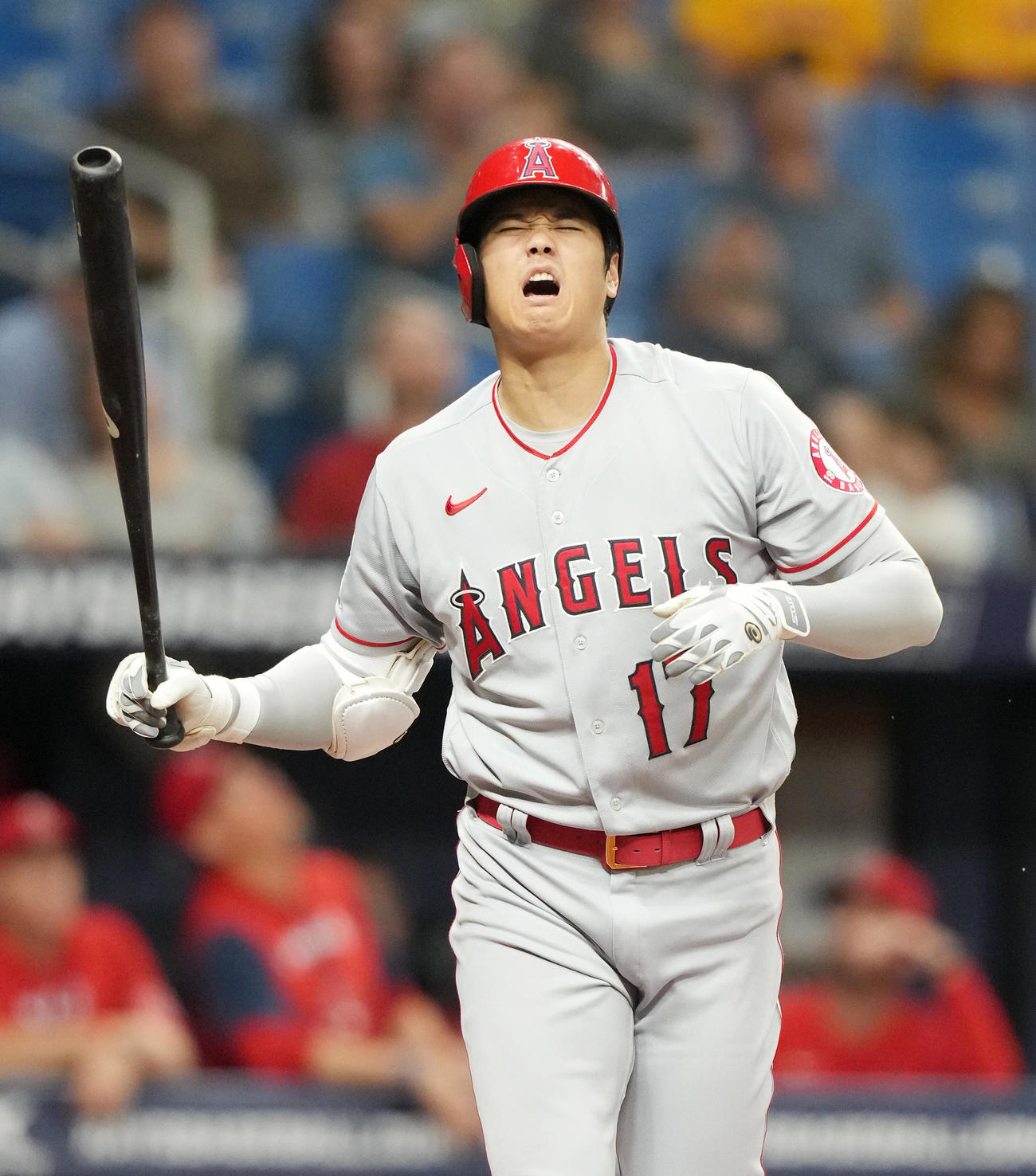 レイズ対エンゼルス　6回表エンゼルス1死、ファウルボールを放ち、顔をゆがめる大谷（撮影・菅敏）