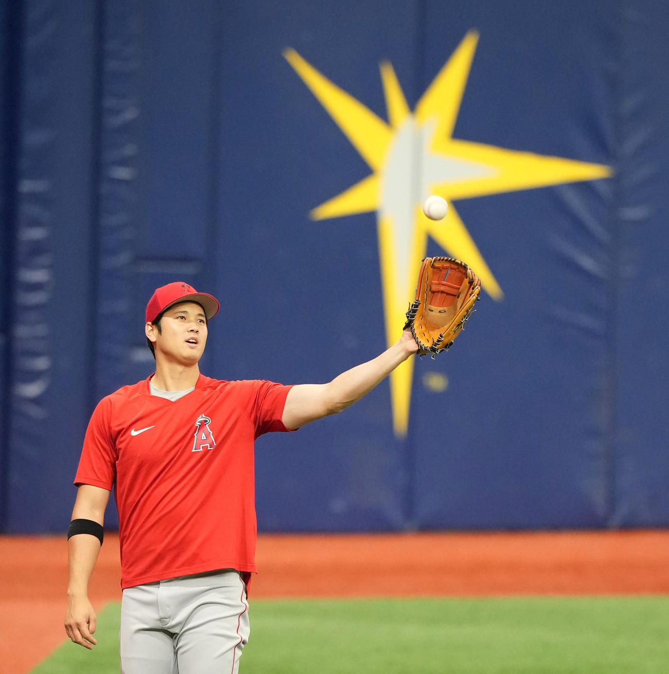 レイズ対エンゼルス　試合前、キャッチボールで調整するエンゼルス大谷（撮影・菅敏）