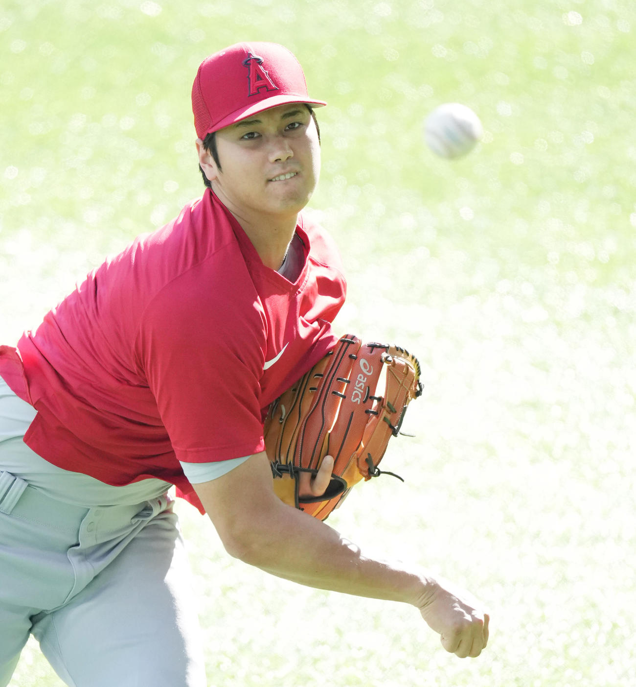 ブルージェイズ対エンゼルス　試合前、キャッチボールをするエンゼルス大谷（撮影・菅敏）