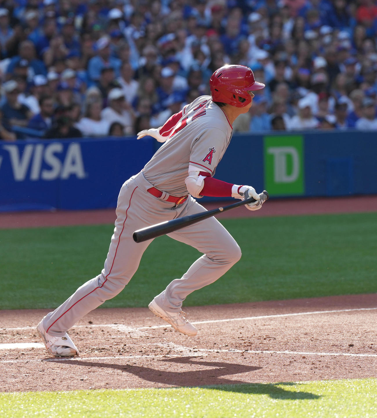 ブルージェイズ対エンゼルス　6回表エンゼルス無死一、二塁、投ゴロに倒れる大谷（撮影・菅敏）