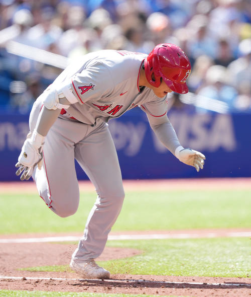 ブルージェイズ対エンゼルス　5回表エンゼルス1死、セーフティバンドを失敗する大谷（撮影・菅敏）