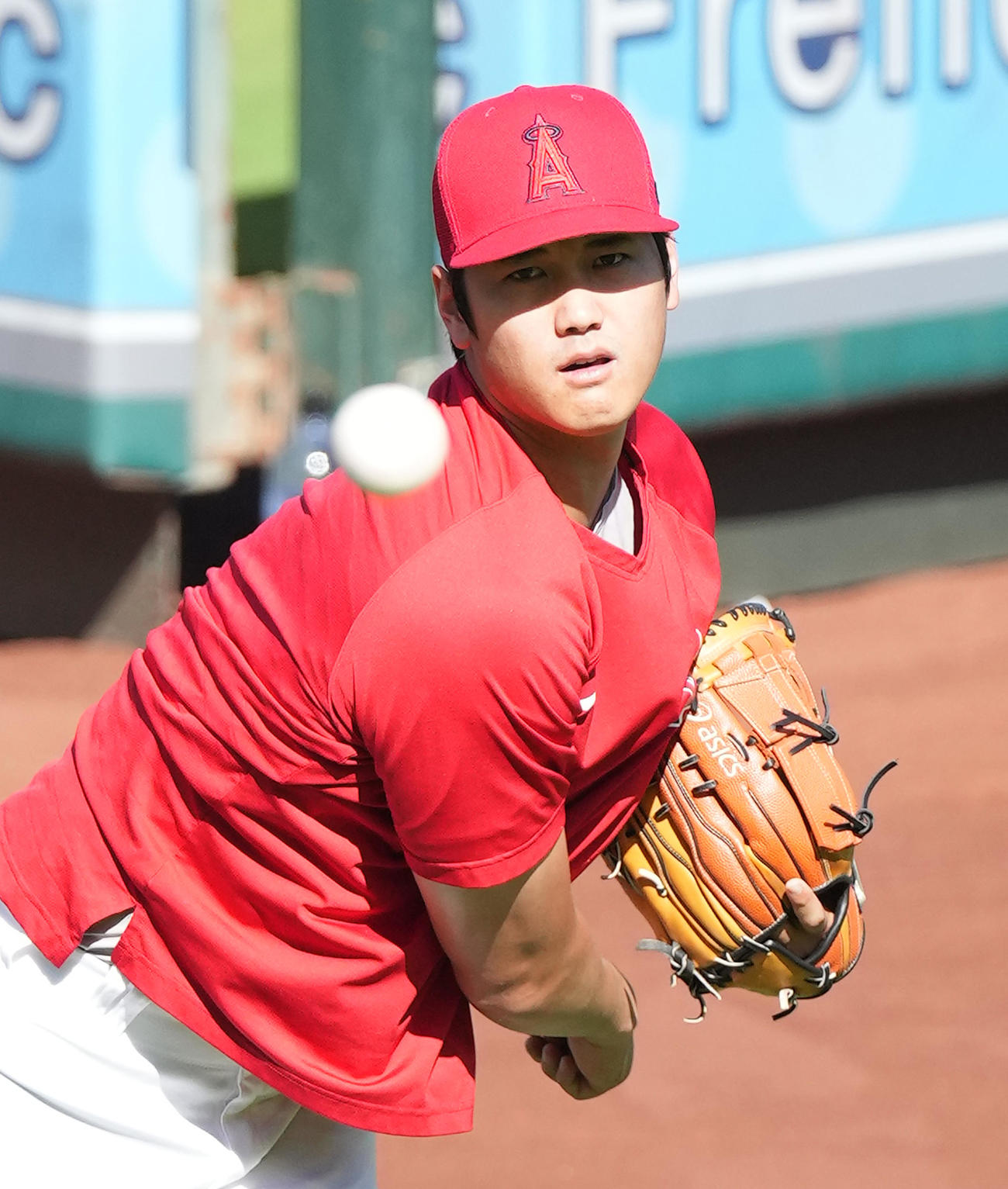 エンゼルス対ヤンキース　試合前、キャッチボールで調整するエンゼルス大谷（撮影・菅敏）