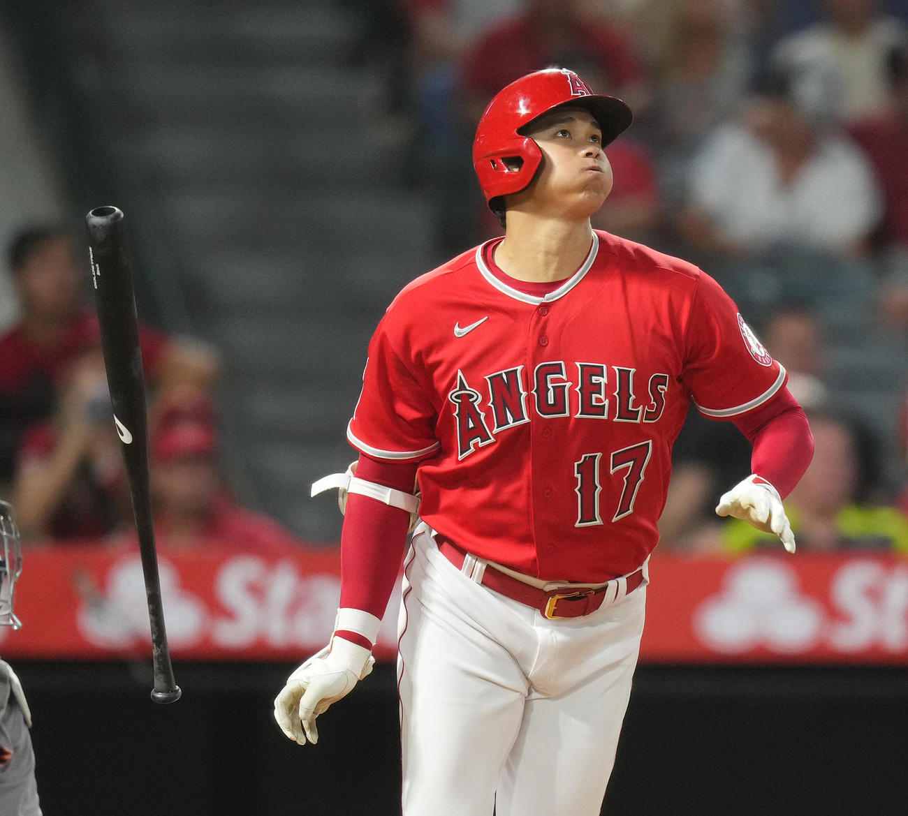 エンゼルス対タイガース　6回裏エンゼルス1死、右飛に倒れる大谷（撮影・菅敏）