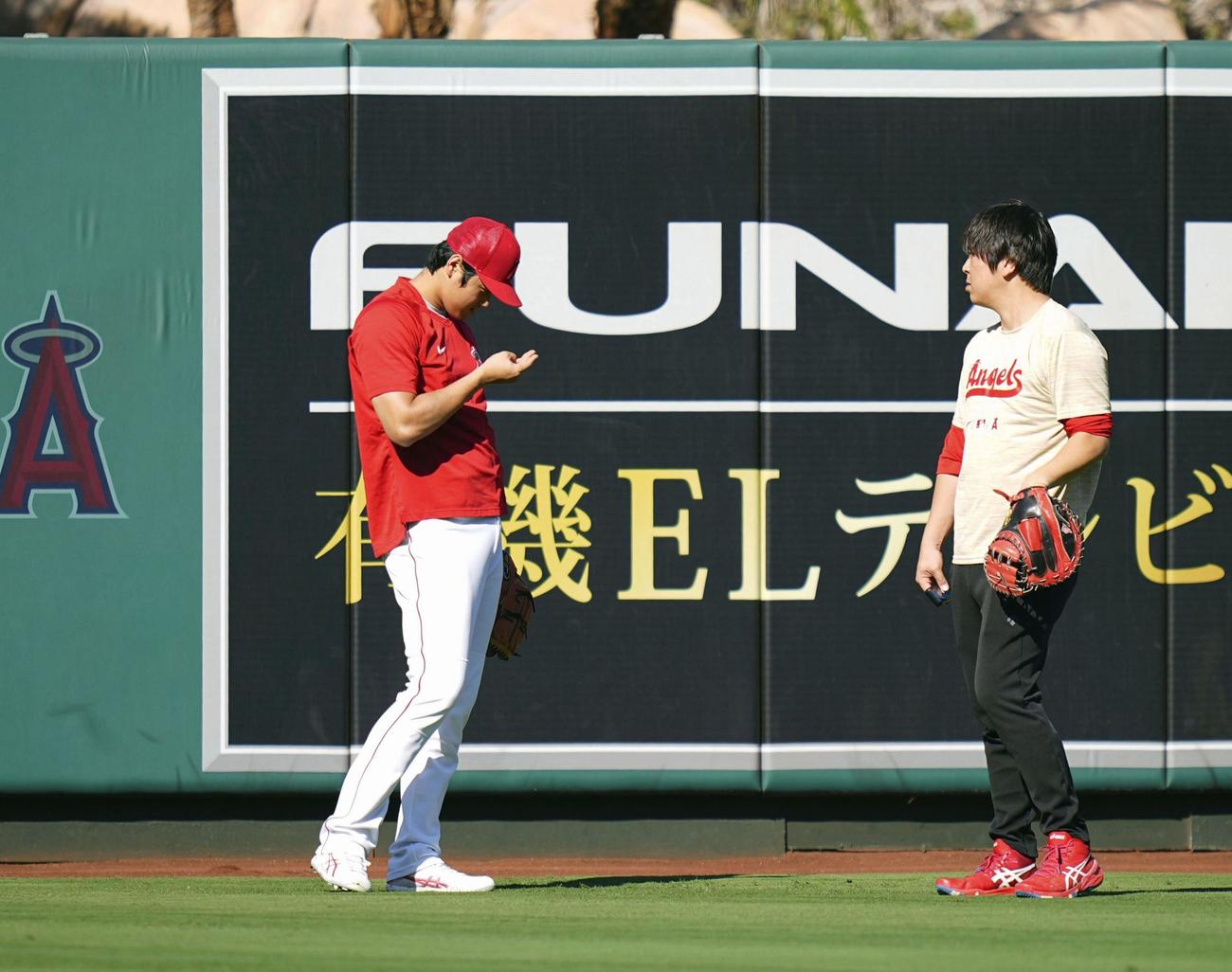 試合前の練習で右手を見るエンゼルス大谷（共同）