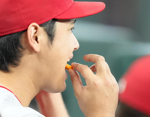 レンジャーズ対エンゼルス　試合中、ベンチでお菓子を食べる大谷（撮影・菅敏）