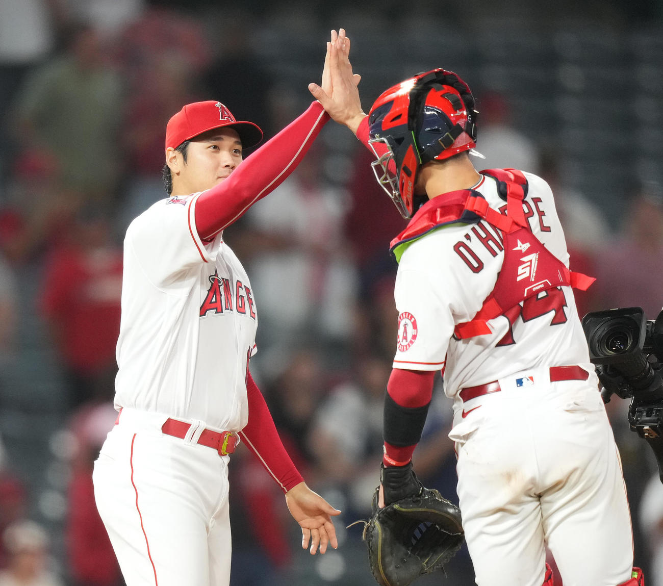 アスレチックスに勝利し、オホッピー（右）とタッチをする大谷（撮影・菅敏）