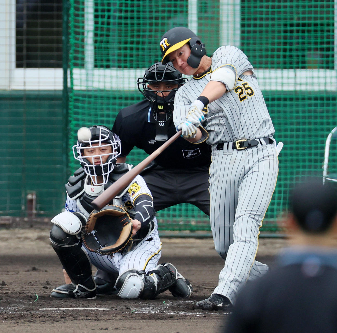1軍紅白戦：5回表紅組1死、渡辺諒は右飛を打ち上げるが相手エラーで生還（撮影・加藤哉）