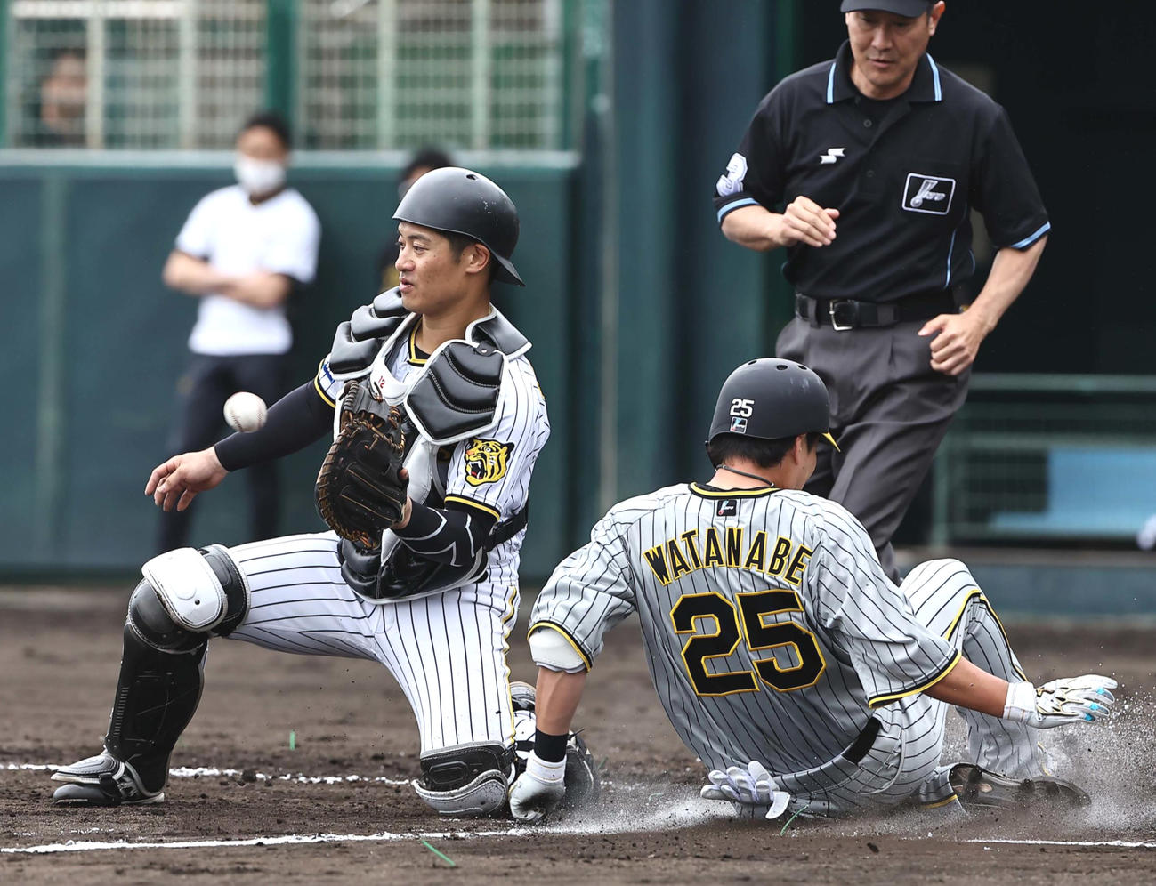 5回表紅組1死、渡辺（右）はミエセスのエラーで生還する。捕手は坂本（撮影・上田博志）