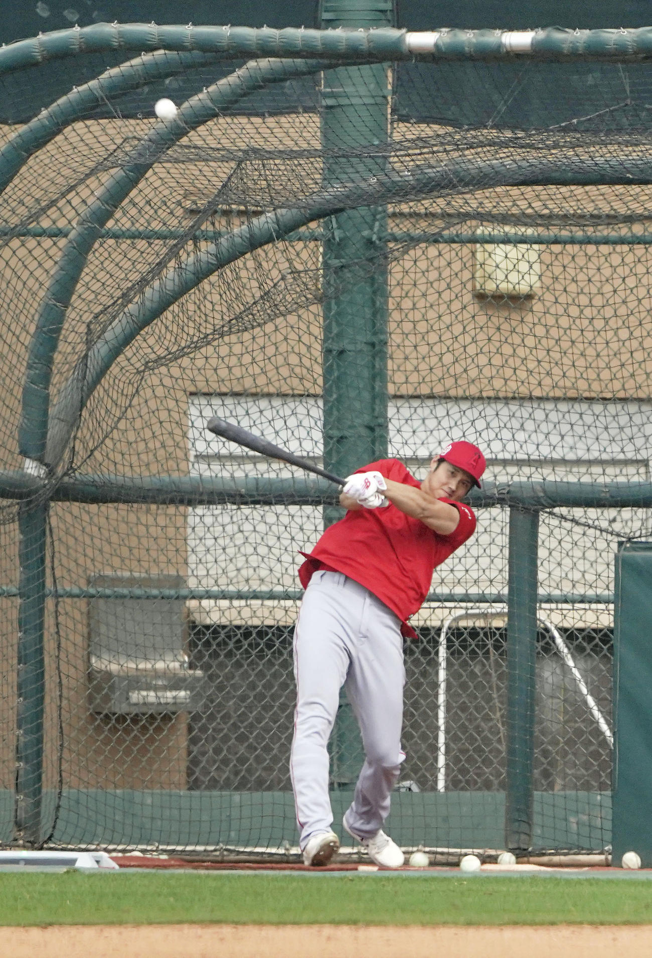 球団施設で打撃練習するエンゼルス大谷（共同）