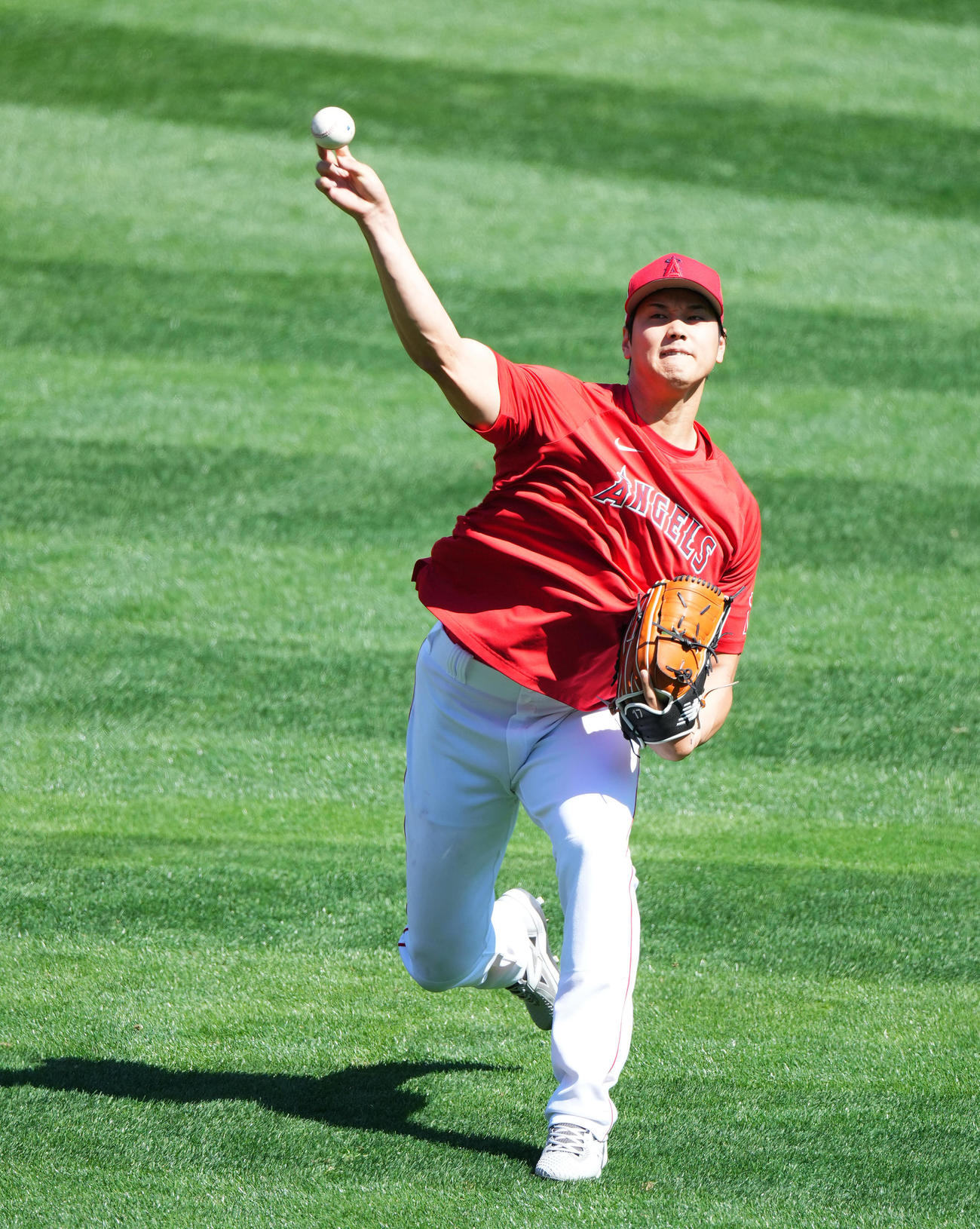 エンゼルス大谷翔平（2023年3月28日撮影）