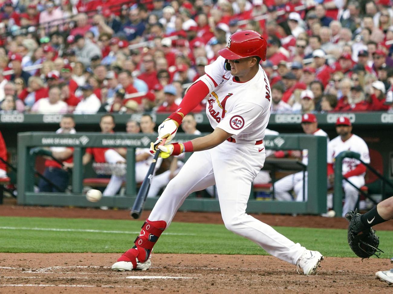 ブルージェイズ戦の6回、左前打を放つカージナルスのヌートバー＝セントルイス（共同）