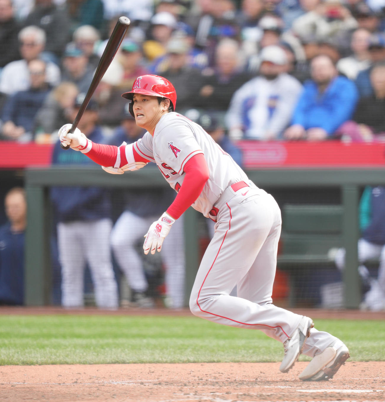 マリナーズ対エンゼルス　7回表エンゼルス2死一、二塁、左適時打を放つ大谷（撮影・菅敏）
