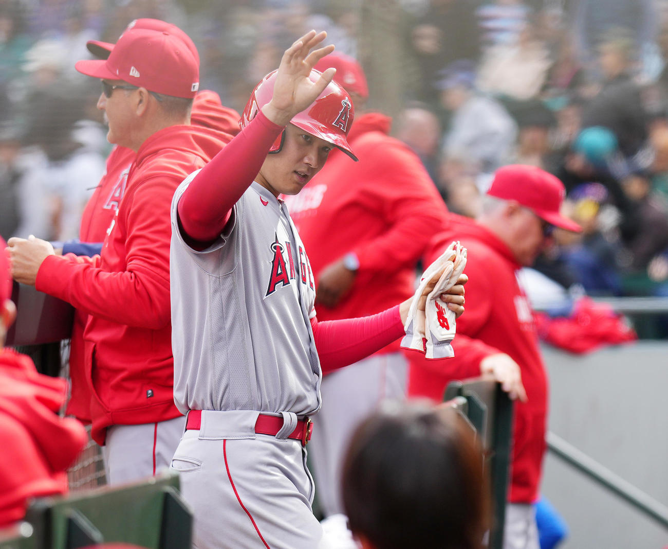 マリナーズ対エンゼルス　7回に適時打を放った大谷（左）は、ナインに迎えられる（撮影・菅敏）