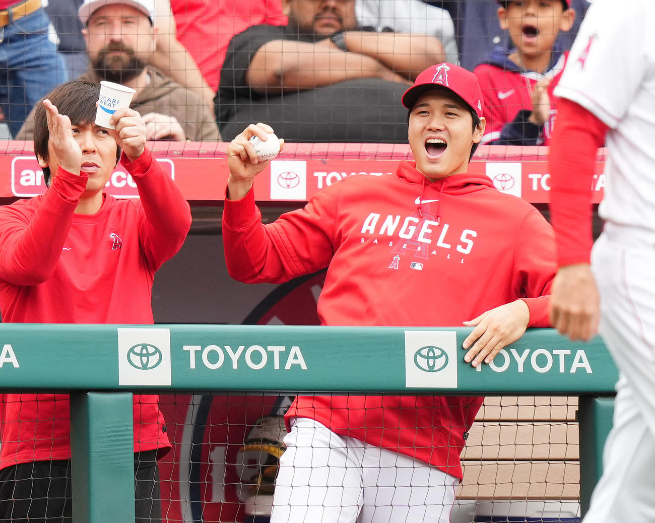 エンゼルス対ナショナルズ　4回、フィリップスが押し出しの四球を選び、ベンチで喜ぶエンゼルス大谷。左は水原一平通訳（撮影・菅敏）