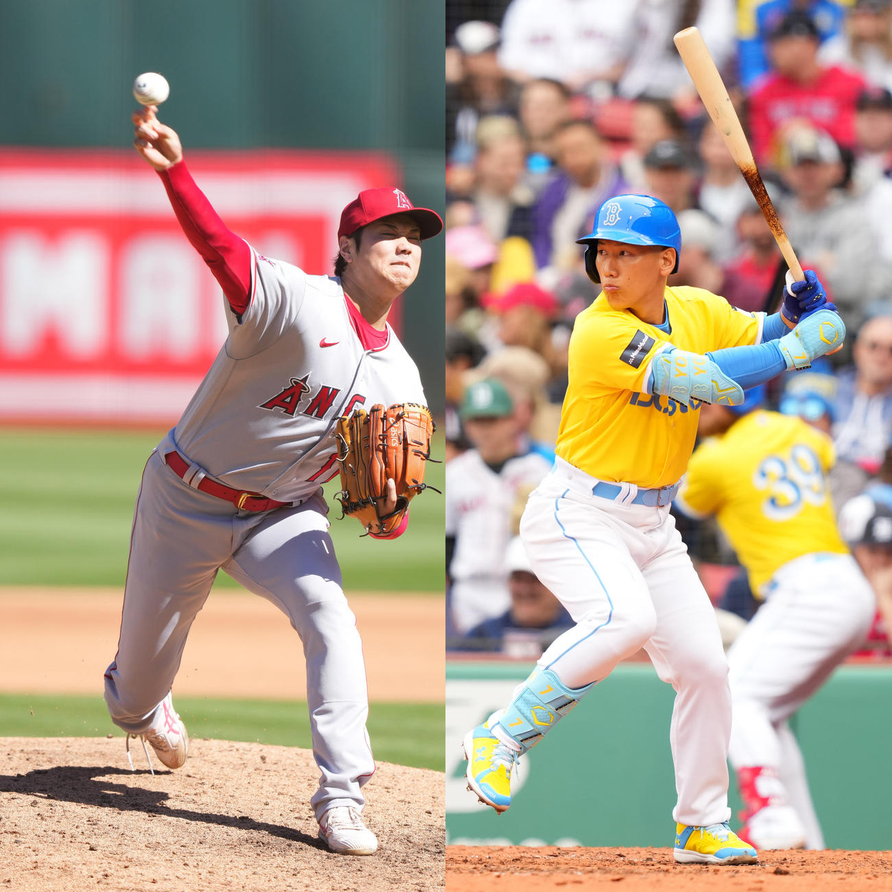 大谷翔平と吉田正尚
