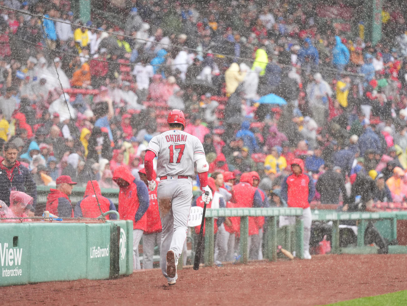 レッドソックス対エンゼルス　3回途中、雨で中断し、駆け足でベンチに戻るエンゼルス大谷（手前）（撮影・菅敏）