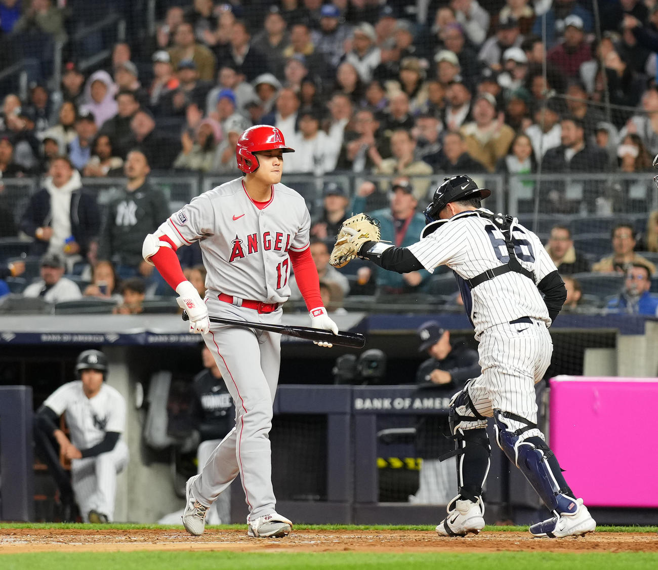 ヤンキース対エンゼルス　3回表エンゼルス2死、空振りの三振に倒れる大谷（左）（撮影・菅敏）