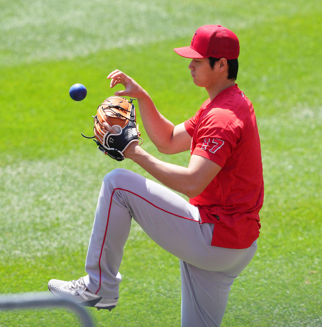 ヤンキース対エンゼルス　試合前の練習で壁当てするエンゼルス大谷（撮影・菅敏）