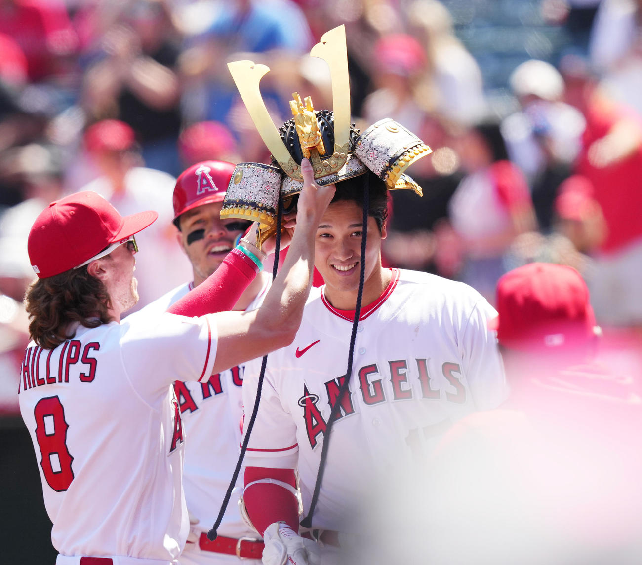 かぶとをかぶせてもらうエンゼルス大谷翔平（2023年4月9日撮影）