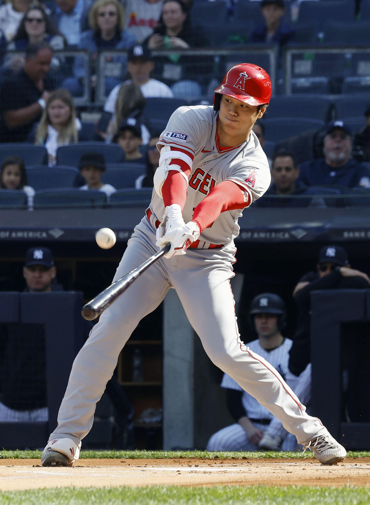 ヤンキース戦の1回、投邪飛に倒れるエンゼルス・大谷（共同）