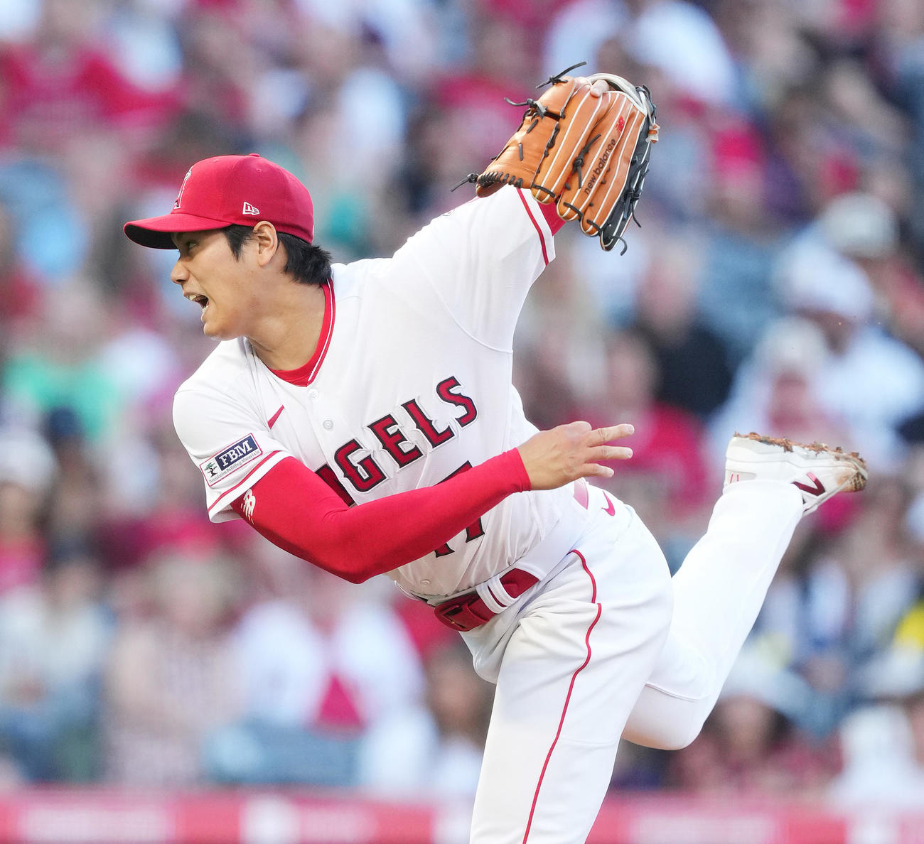 エンゼルス対ロイヤルズ　エンゼルス先発の大谷（撮影・菅敏）