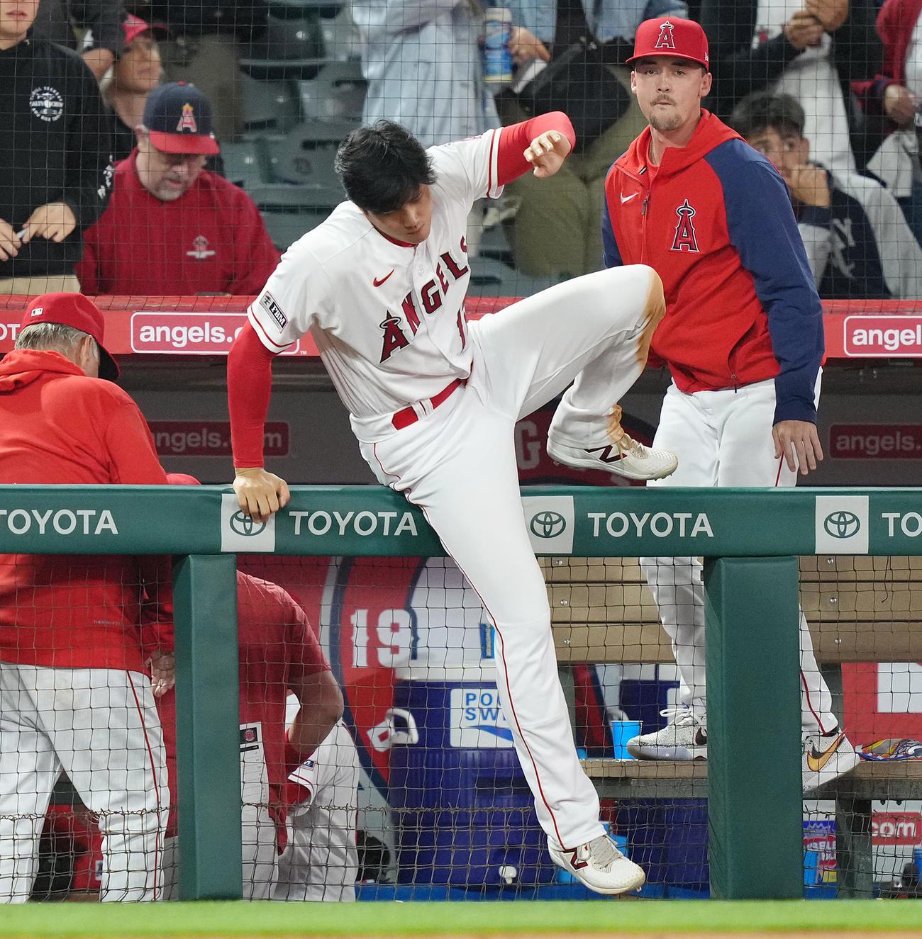 アスレチックスに勝利し、フェンスを乗り越えフィールドに向かうエンゼルス大谷（撮影・菅敏）