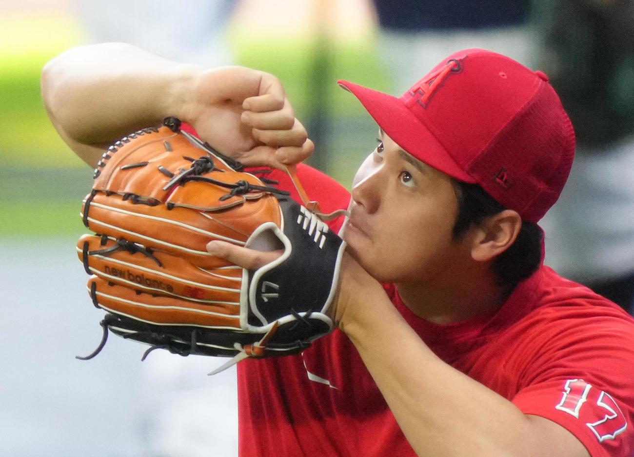 ブルワーズ対エンゼルス　試合前、グラブのひもを締め直すエンゼルス大谷（撮影・菅敏）